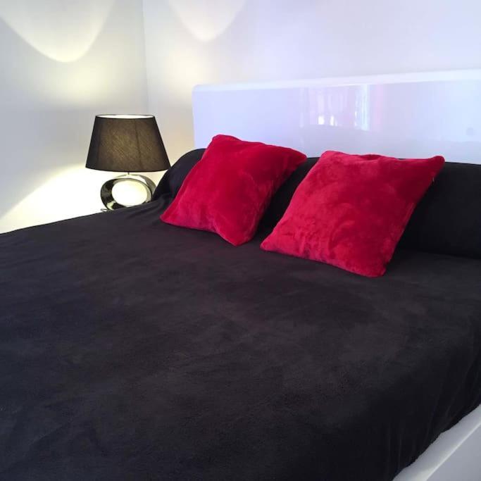 T1 Bis Completement Independant Lourdes